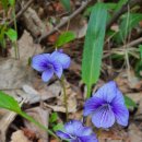 신비마취통증의학과의원 이미지