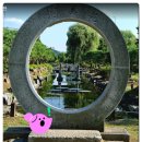 🌸 양평 두물머리 //｜연꽃의 바다에서, 다시 걷고 싶은 산책길