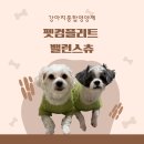펫컴 | 강아지눈영양제 강아지피부영양제 강아지종합영양제 케어노바 펫컴플리트 밸런스츄 후기