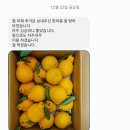 맛있는 제주 하우스 한라봉 🍊 다른 곳에 비해! 저렴한 가격에 ! 연말 연초 선물로 어떠실까요?! (메리크리스마스 🎄 🎅) 이미지