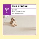 베스트펫 네이버블로그