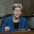 엔티디(NTD) 이미지