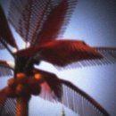 꿈의궁전 이미지