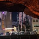 영월치킨센타 이미지