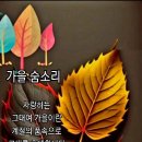11월 19일(끝말잇기) 올려봄니다요 이미지