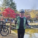 순천만 우리 이미지