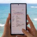 돌고래와펭귄 | 후쿠오카 아이와 여행 코스 마린월드 우미노나카미치 가는법 펭귄 돌고래쇼