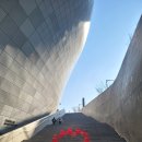 대박문구완구 | 겨울방학 서울여행(3) - DDP 동대문쇼핑/ 청계천 수족관거리/ 창신동 문구완구시장/ 서울역