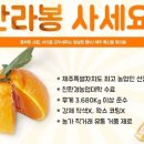 맛조아농장