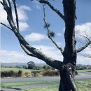 2022-주187 이미지