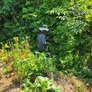 6.15 농장 이미지