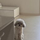 놀러오개 영등포점 네이버블로그