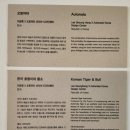 오토마타디자인센터