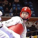 국가대표에이스태권도