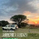 탄자니아 신혼여행 골든트립탄자니아 세렝게티 투어 현실 후기