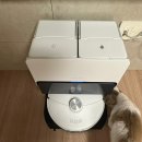 로보락 S8 MaxV Ultra S82USV 내돈내산 4개월 사용후기(사용법, 세제, 강아지 로봇청소기 추천, 최저가)