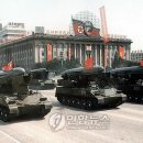 무모하게