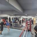 사천시복싱협회 제3체육관 | 사천복싱협회-제2체육관