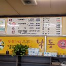 낙동생오리 이미지