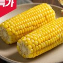 꿈꾸는농부