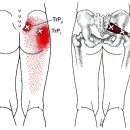 연희헬스 이미지