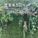 영등포 50플러스 센터, 40대 직업전환 프로그램 1탄 ‘나도 N잡러! 스마트 스토어 창업하기’