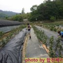 골집농장 네이버블로그