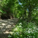 진산자연휴양림 이미지