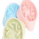 땡큐애견 이미지