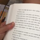 종달이야기