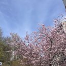 초원의집 민박 | [스웨덴 2] 올드타운, 맛집, 숙소