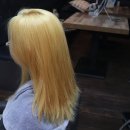델피앙헤어