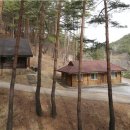 금강송통나무황토집 이미지