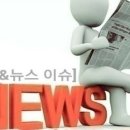 장성쌍방울 티스토리
