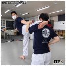 베테랑태권도 이미지