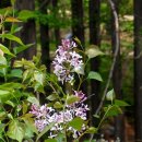 인천목장 이미지