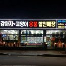 멍루아 펫살롱 티스토리