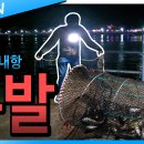 통발 이미지