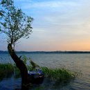 숲속의하루 이미지