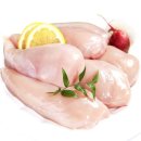 파파 - 8147 | 파파