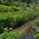 파스쿠찌보라매공원점 이미지