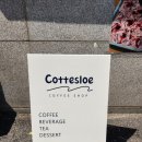 코테슬로(Cottesloe) 이미지