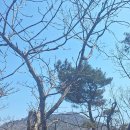 창원대산
