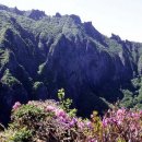 신효동-15 이미지