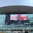 구름소리 | 쏜애플 바다와 구름과 무대 콘서트 후기 (feat.도가미)