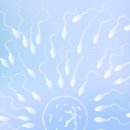 계산제일약국 이미지