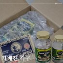 일본직구쇼핑몰 추천 몰패스스토어 카베진 직구 후기
