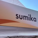 이즈헤어클럽 | FUKUOKA MUSIC FES. 2026 DAY2 sumika 후기 @후쿠오카 미즈호페이페이돔