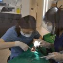 서울심미치과의원 이미지