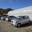 은행나무하우스낚시터 | 춘천 향어낚시 은행나무하우스실내낚시터 다녀왔어요